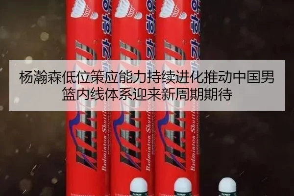 杨瀚森低位策应能力持续进化推动中国男篮内线体系迎来新周期期待